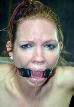 free galleries 13